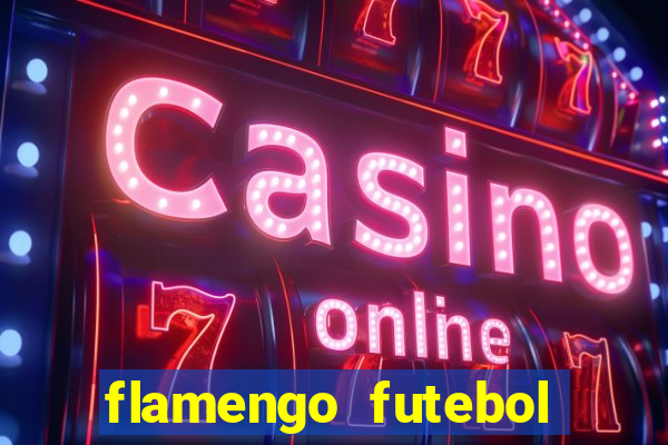 flamengo futebol play hd