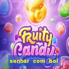 sonhar com boi jogo do bicho