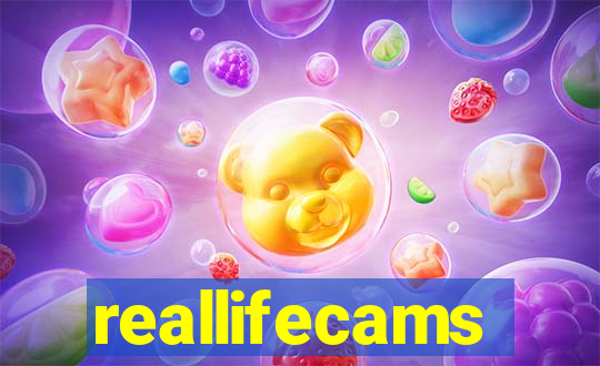 reallifecams