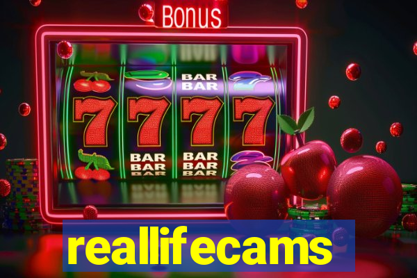 reallifecams