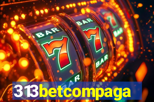 313betcompaga