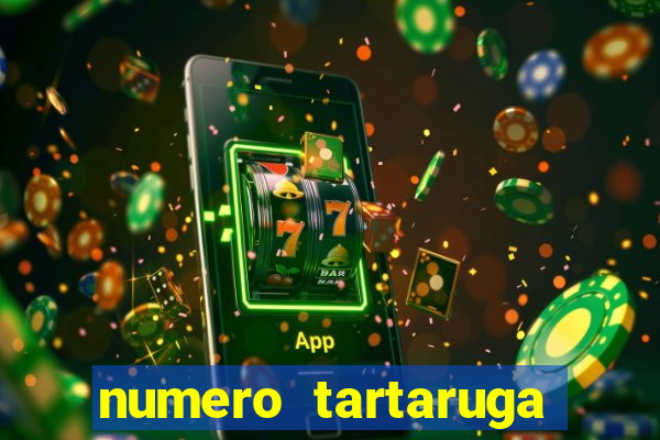 numero tartaruga jogo do bicho