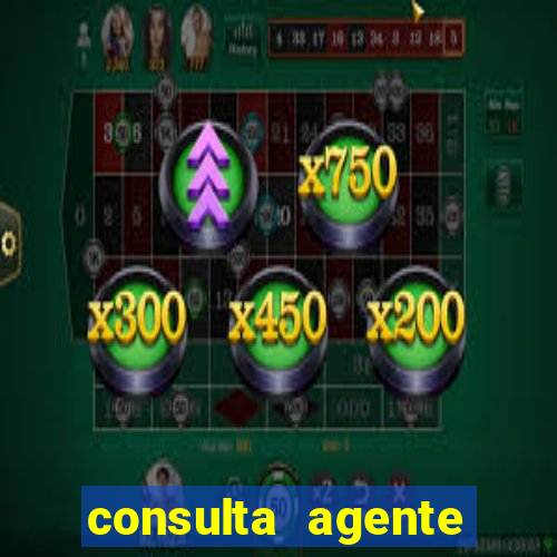 consulta agente autuador sp