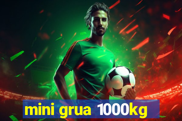 mini grua 1000kg