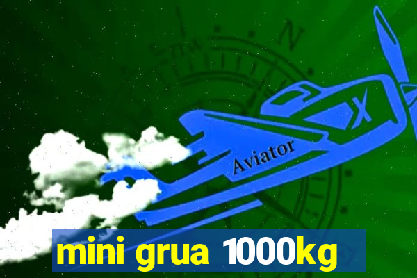 mini grua 1000kg