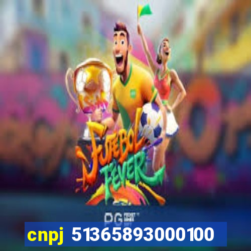 cnpj 51365893000100