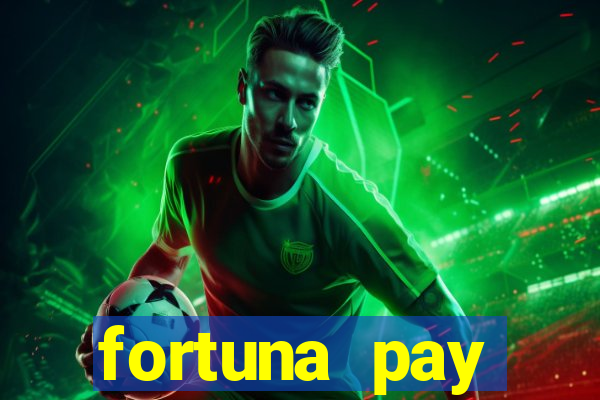 fortuna pay consultoria financeira ltda