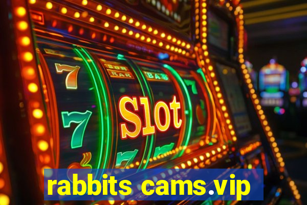 rabbits cams.vip