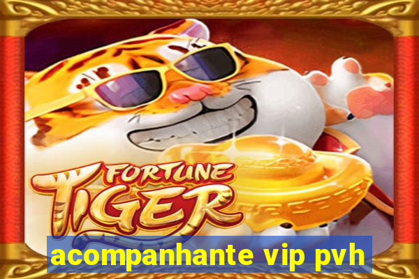 acompanhante vip pvh