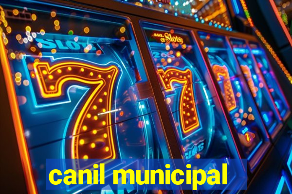 canil municipal