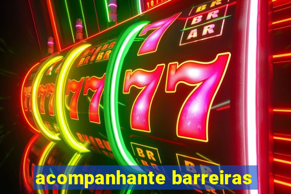 acompanhante barreiras