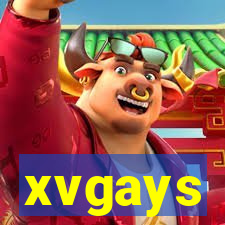 xvgays