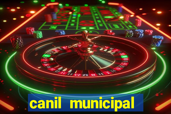 canil municipal porto alegre