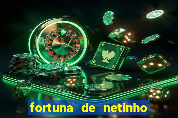 fortuna de netinho de paula