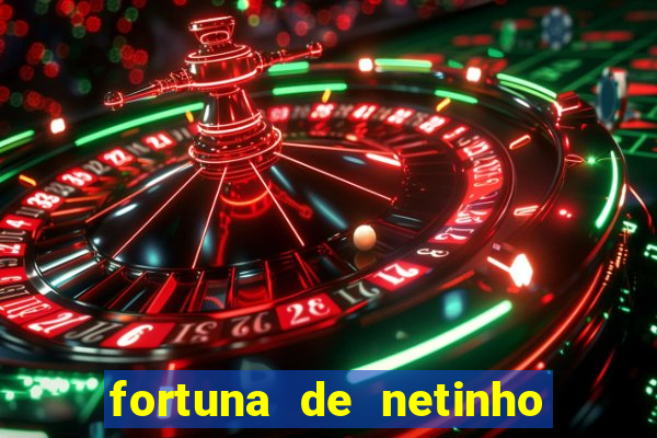 fortuna de netinho de paula