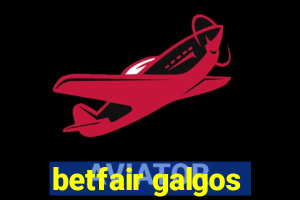 betfair galgos