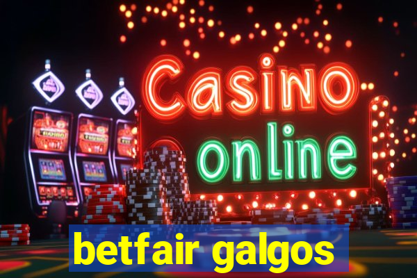 betfair galgos