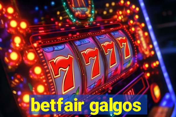 betfair galgos