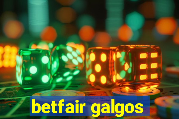 betfair galgos