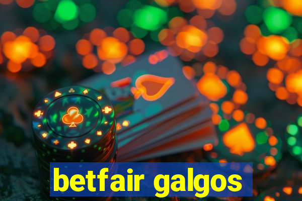 betfair galgos