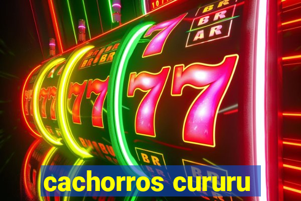 cachorros cururu