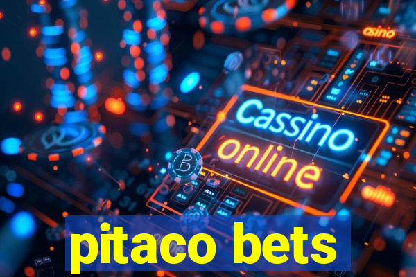 pitaco bets