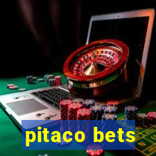 pitaco bets