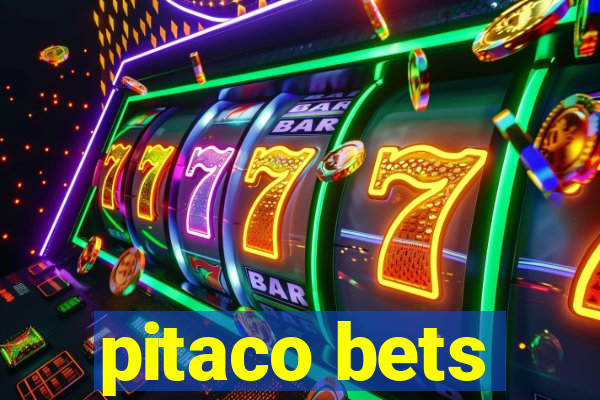 pitaco bets