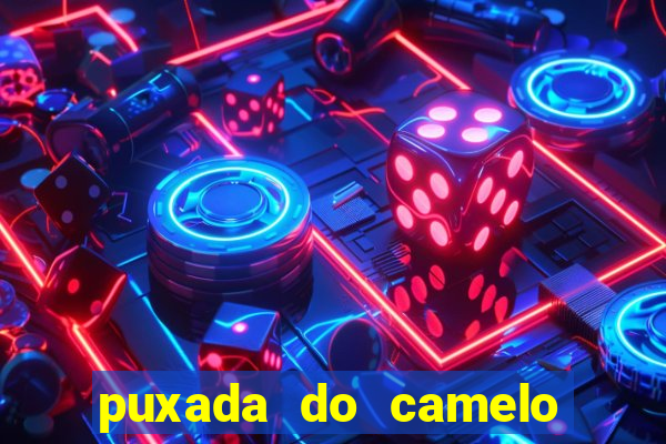 puxada do camelo jogo do bicho