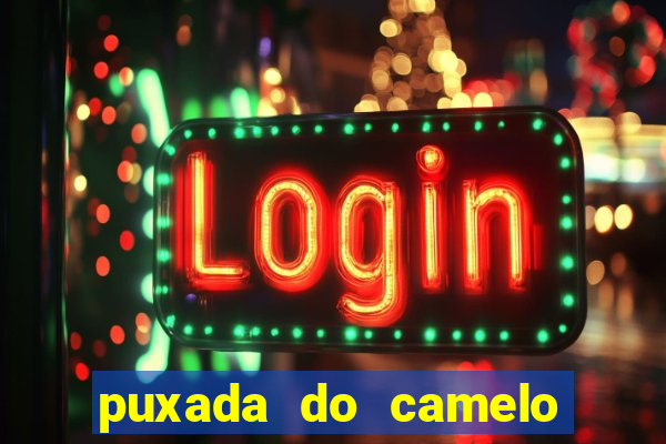 puxada do camelo jogo do bicho