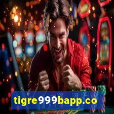 tigre999bapp.com