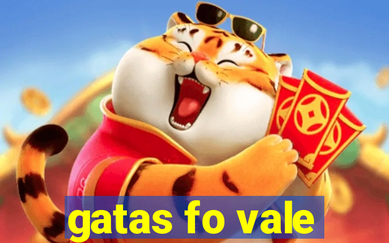 gatas fo vale