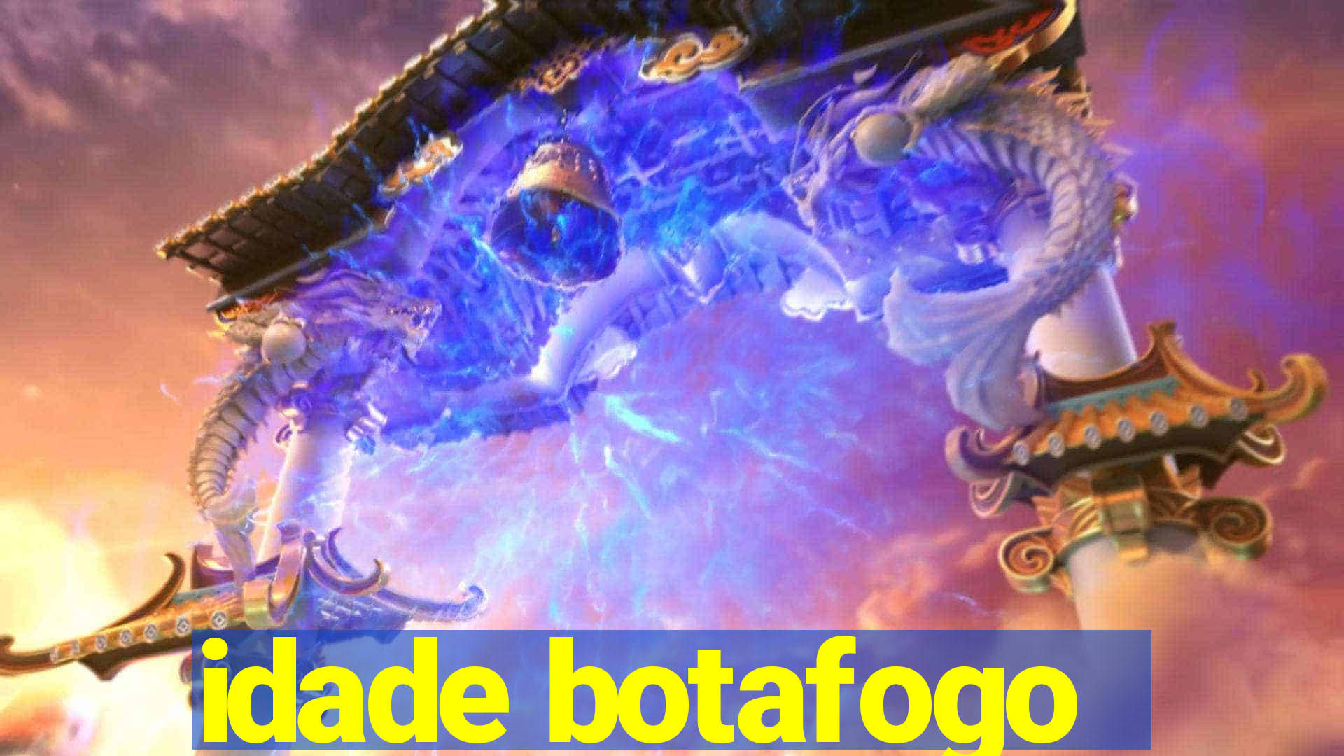 idade botafogo