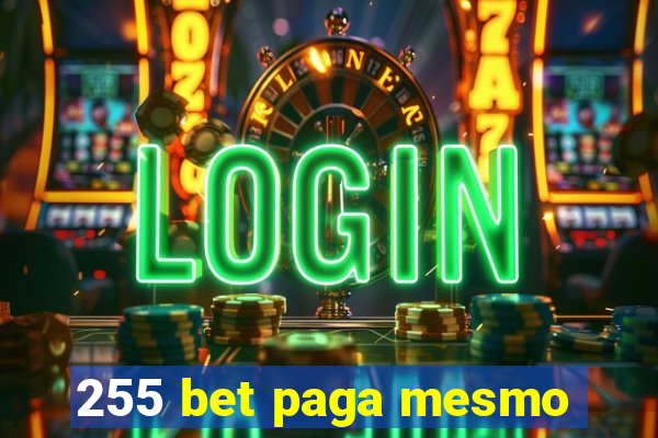 255 bet paga mesmo