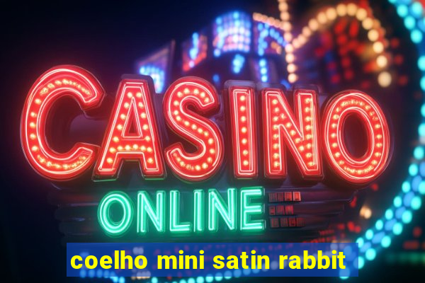 coelho mini satin rabbit