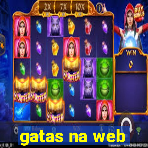 gatas na web