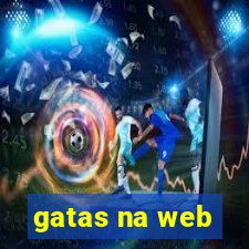 gatas na web