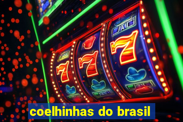 coelhinhas do brasil