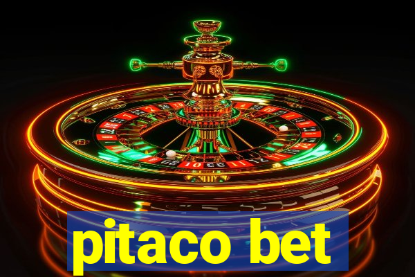 pitaco bet