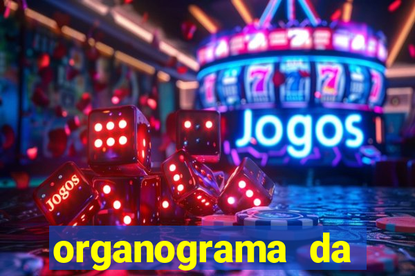 organograma da cacau show