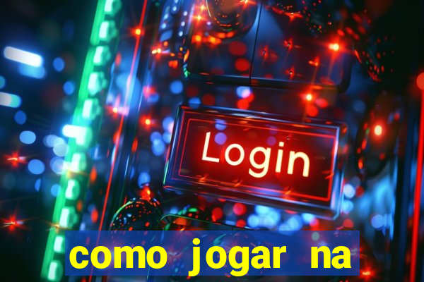 como jogar na lotinha do jogo do bicho