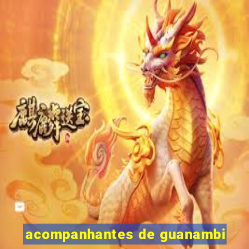 acompanhantes de guanambi