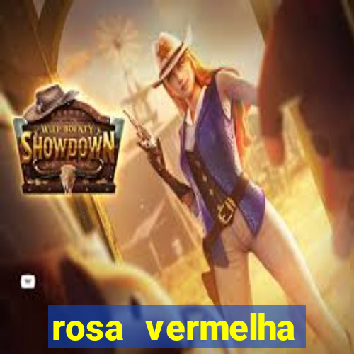 rosa vermelha (letra e cifra)