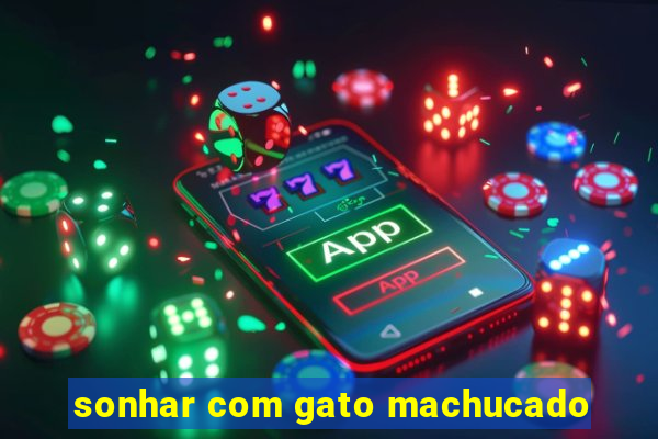 sonhar com gato machucado