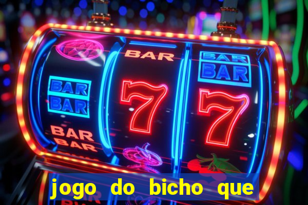 jogo do bicho que paga no pix