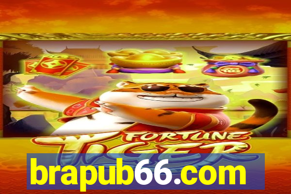 brapub66.com