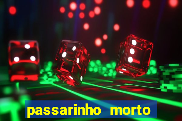 passarinho morto significado espiritual