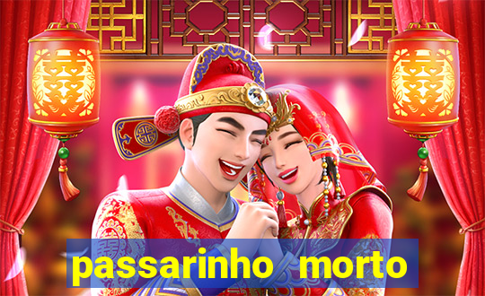 passarinho morto significado espiritual