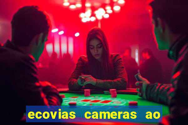 ecovias cameras ao vivo santos