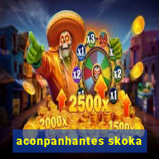 aconpanhantes skoka